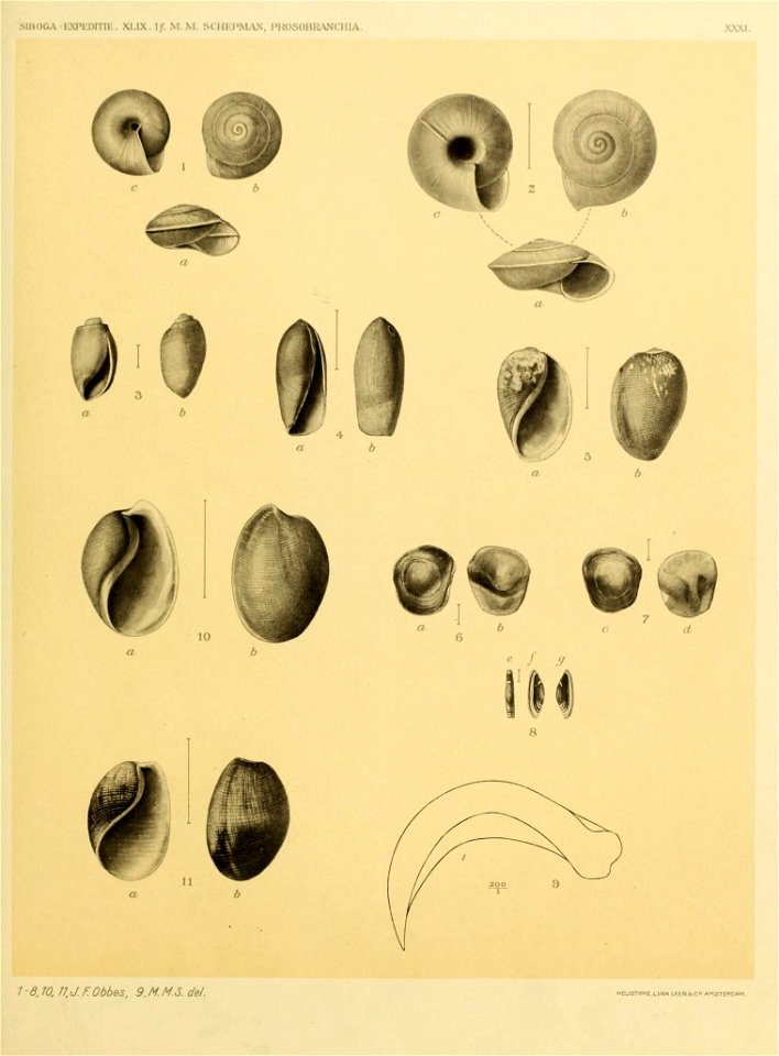 n338_w1150