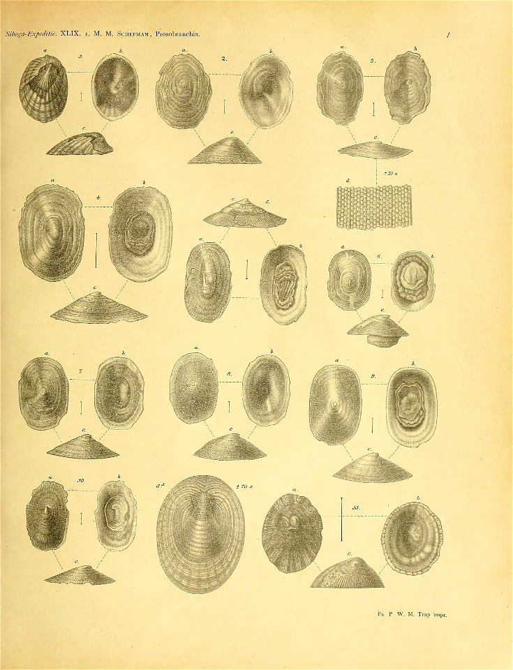 n122_w1150
