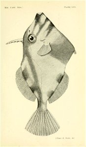 n378_w1150