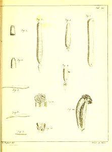 n266_w1150