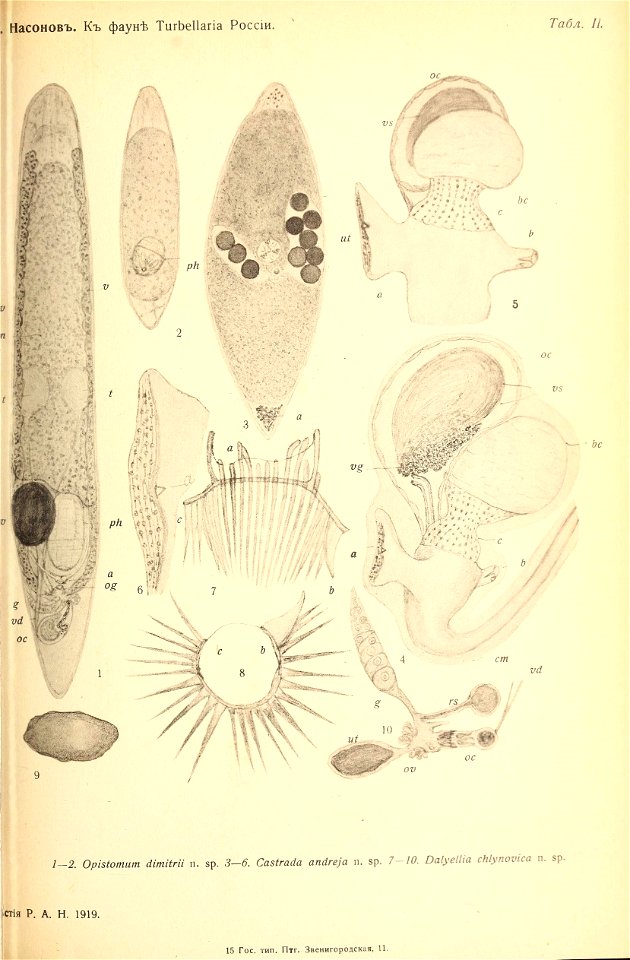 n172_w1150