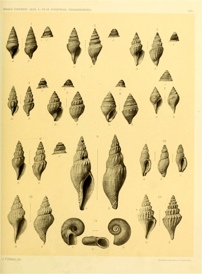 n276_w1150