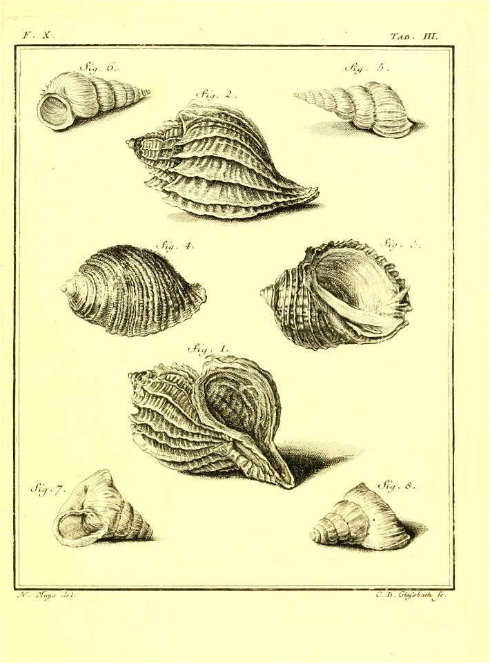 n548_w1150