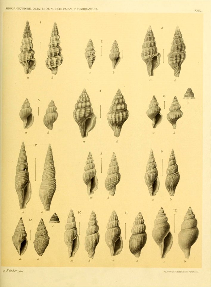 n272_w1150