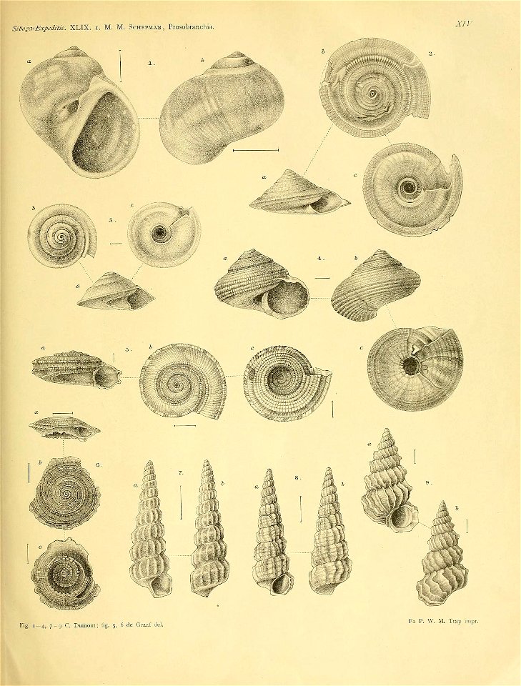 n306_w1150