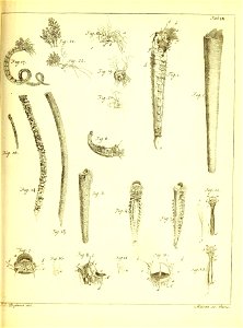 n262_w1150