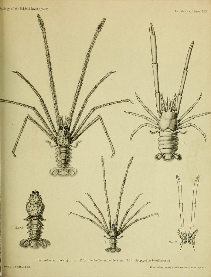 n202_w1150