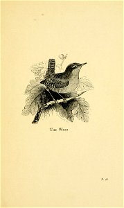 n154_w1150