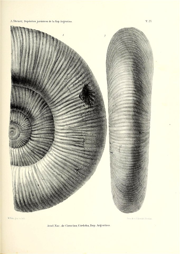 n220_w1150