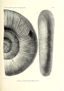 n220_w1150