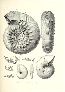 n160_w1150