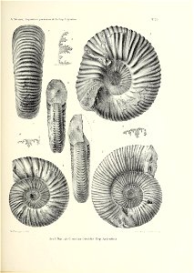 n216_w1150