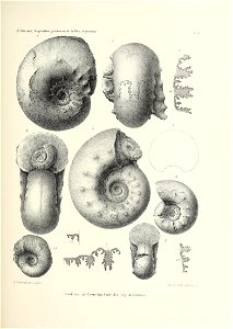 n156_w1150