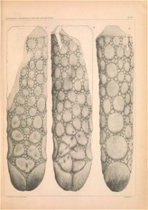 n1434_w1150