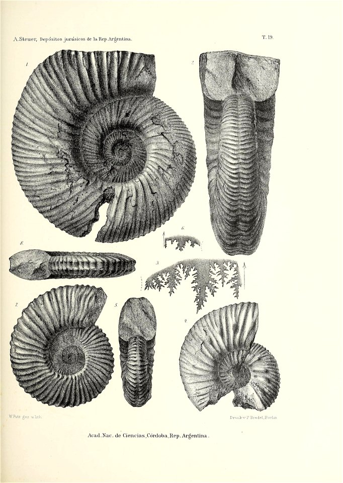 n212_w1150