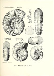 n152_w1150