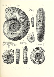 n208_w1150