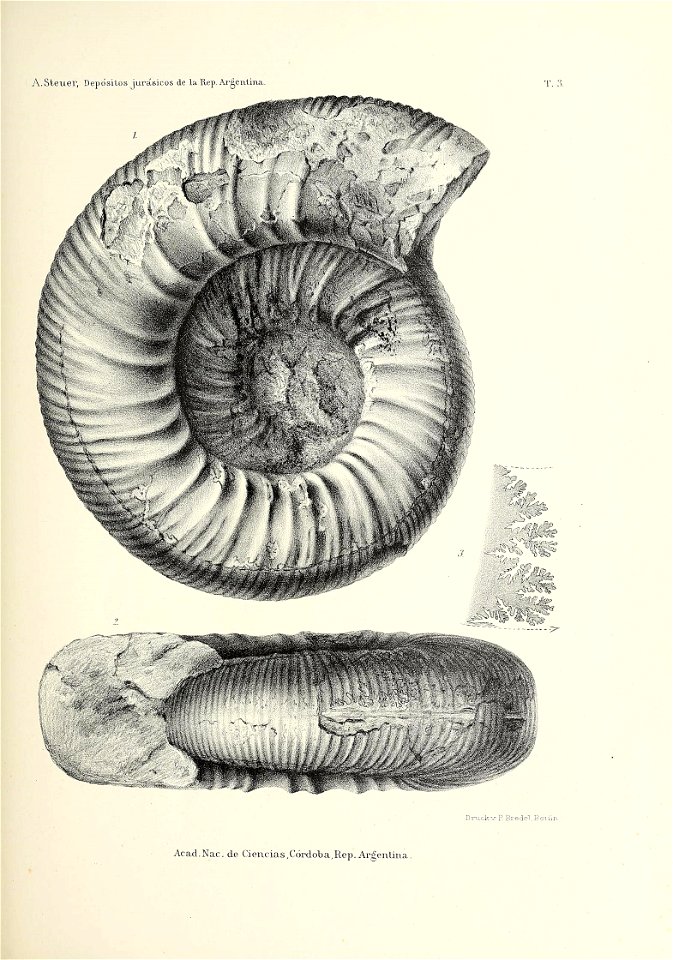 n148_w1150