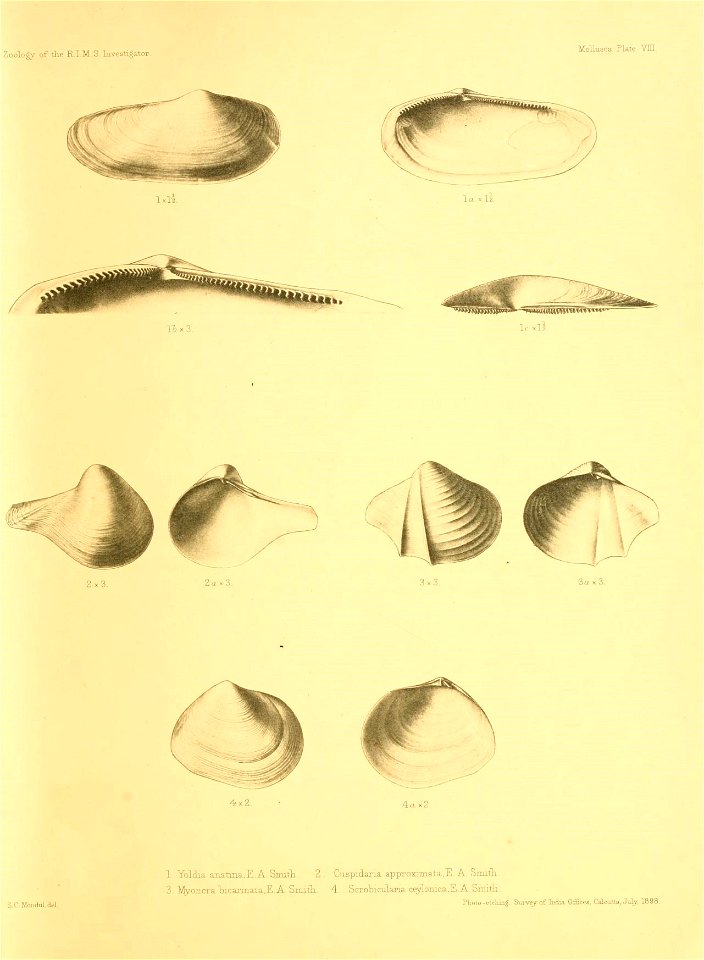 n50_w1150