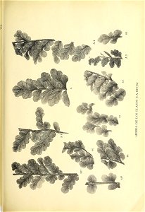 n290_w1150