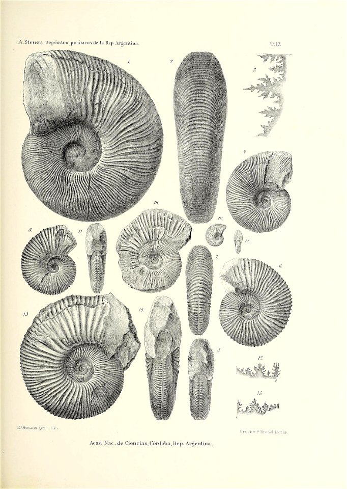 n204_w1150