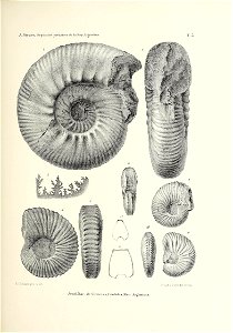 n144_w1150
