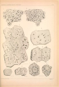 n1302_w1150