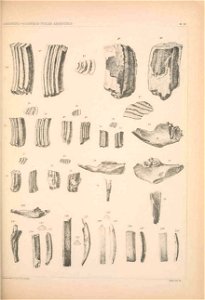 n1182_w1150