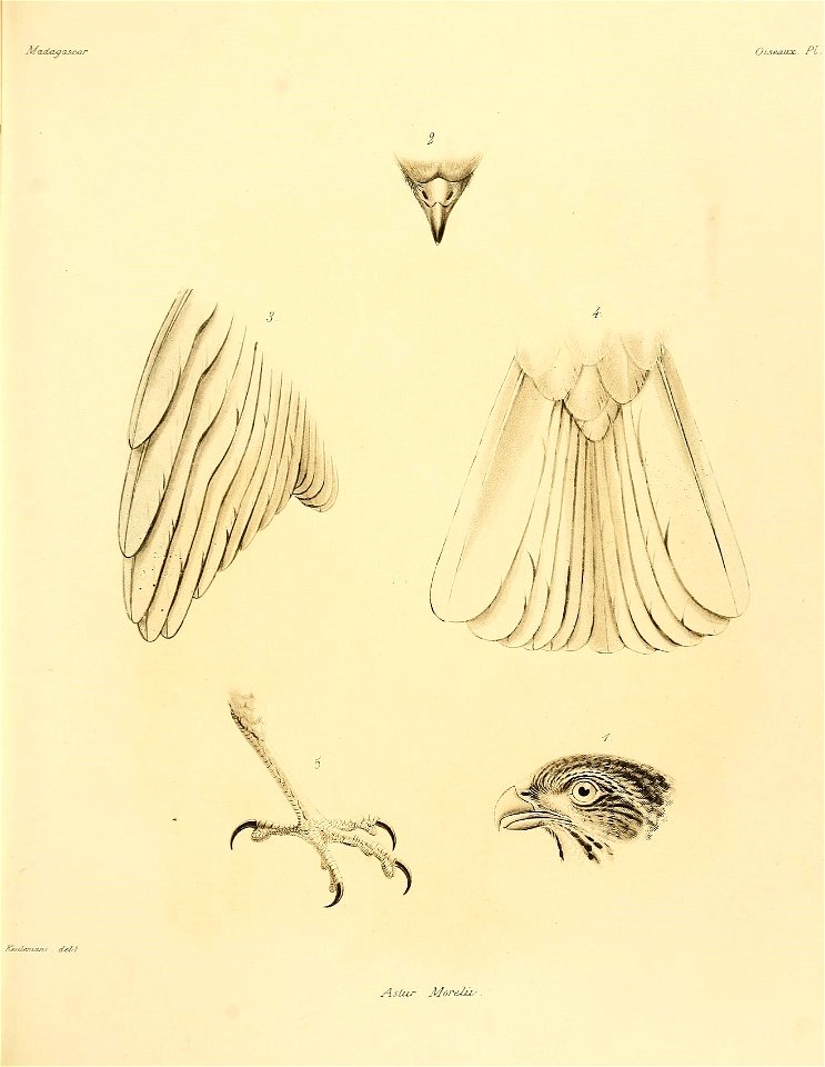 n104_w1150