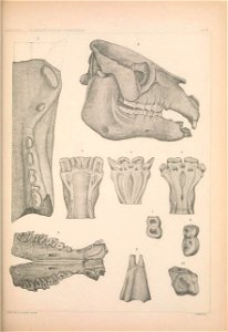n1194_w1150
