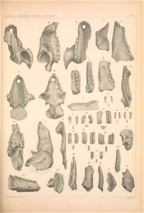 n1134_w1150