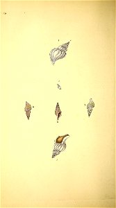 n119_w1150
