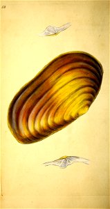 n101_w1150