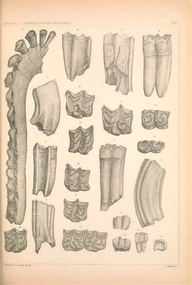 n1186_w1150