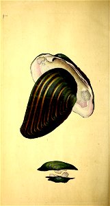 n127_w1150