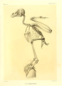 n126_w1150