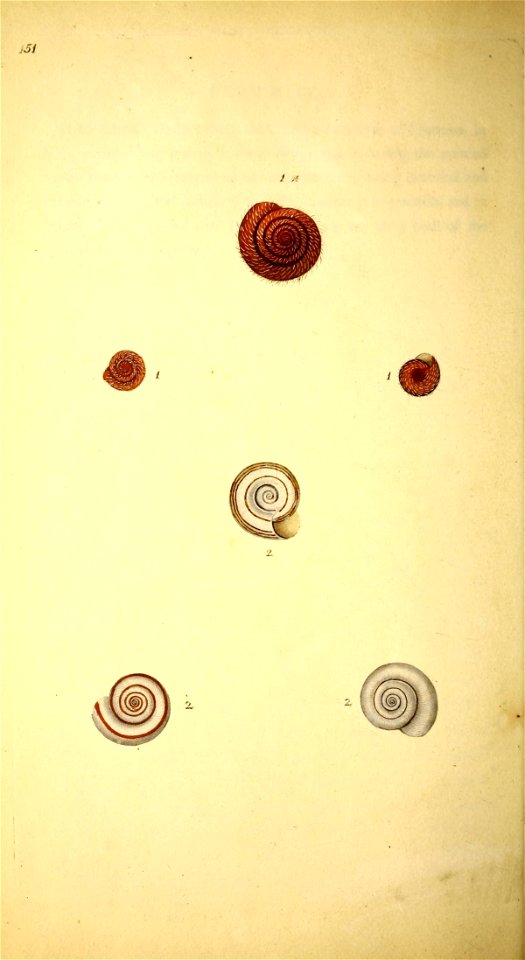 n35_w1150