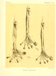 n362_w1150