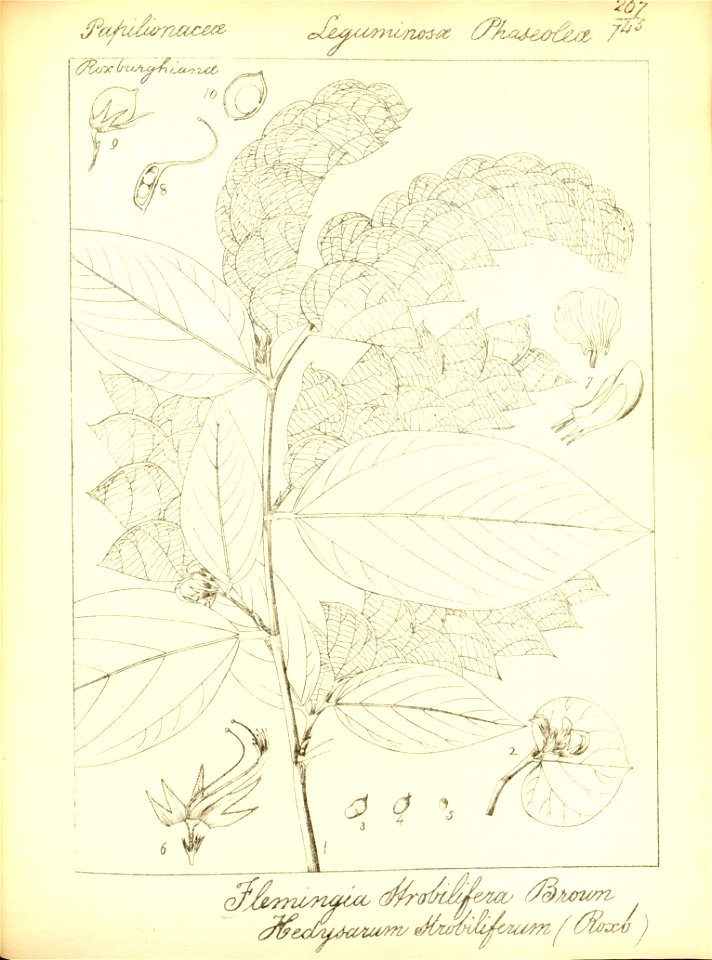n299_w1150