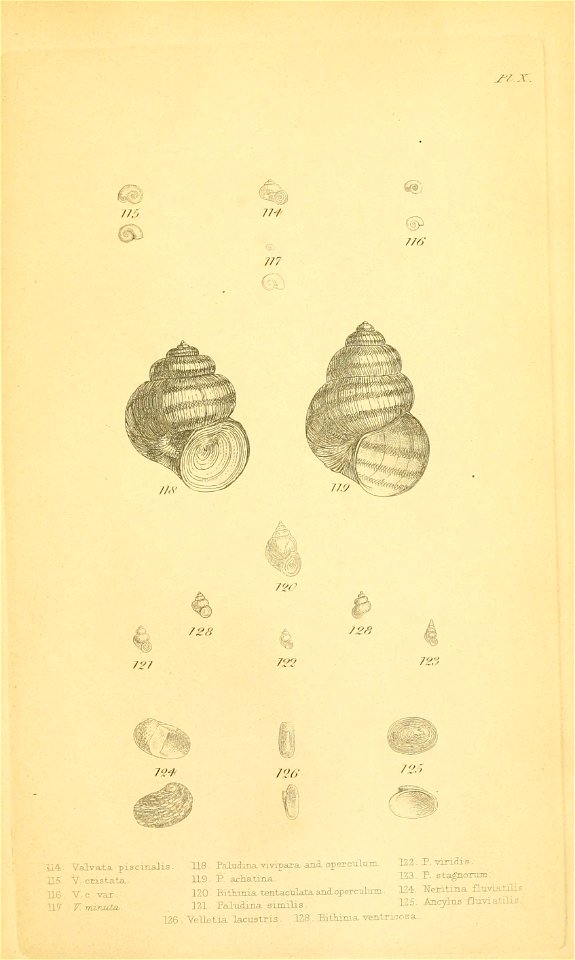 n358_w1150