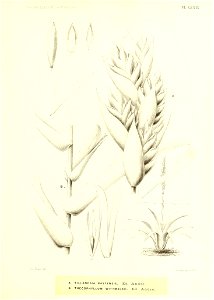 n216_w1150