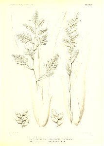 n186_w1150