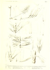 n156_w1150
