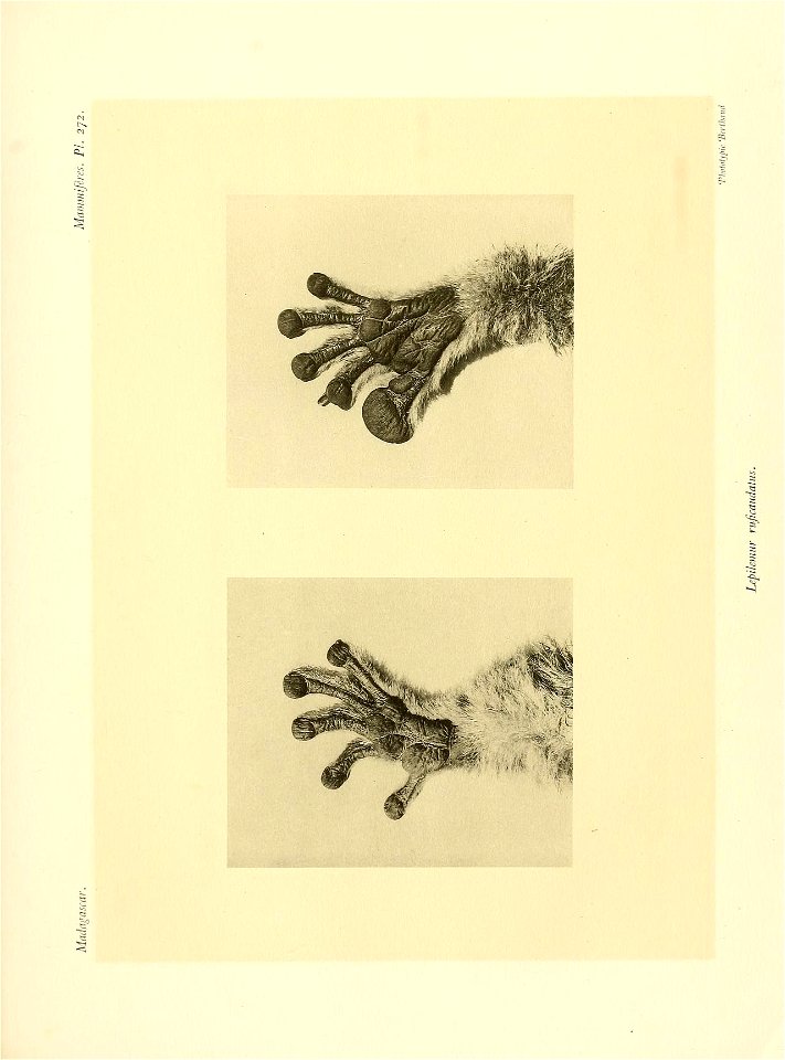 n368_w1150