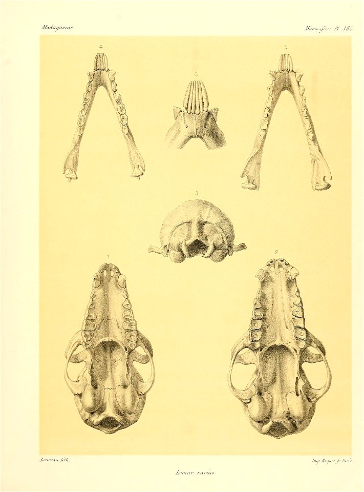 n184_w1150
