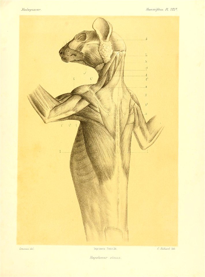 n34_w1150