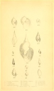 n356_w1150