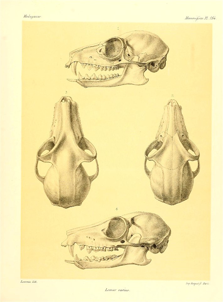 n182_w1150
