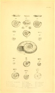 n354_w1150