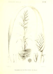 n182_w1150